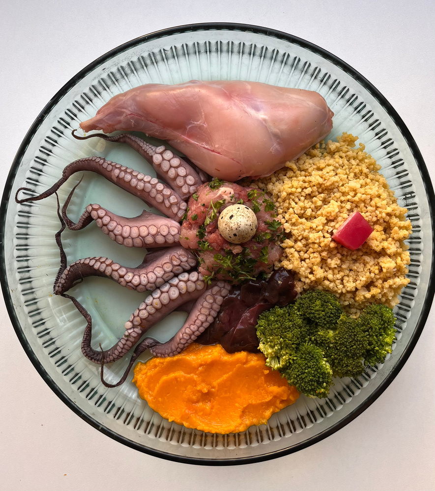 BARF recepty, inspirace. Chobotnice, kuskus, králík. Nutriční hodnoty si vypočítáte v BARF kalkulačce pro psy.